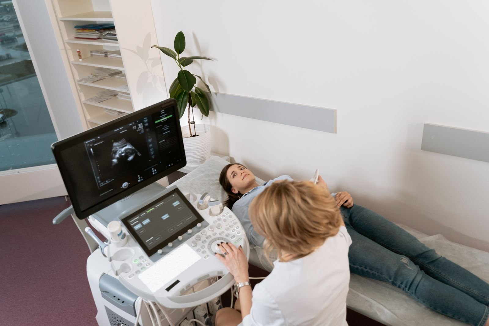Thoracic Ultrasound for Pets