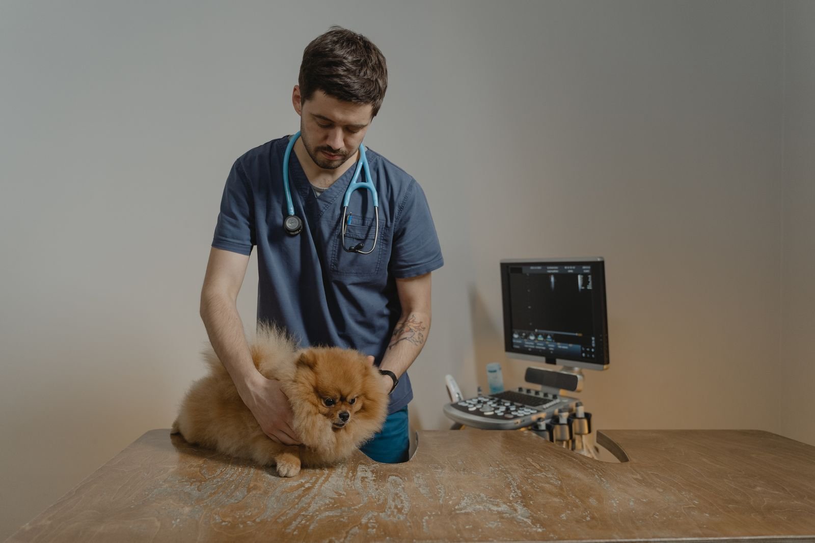 Emergency Veterinary Ultrasound