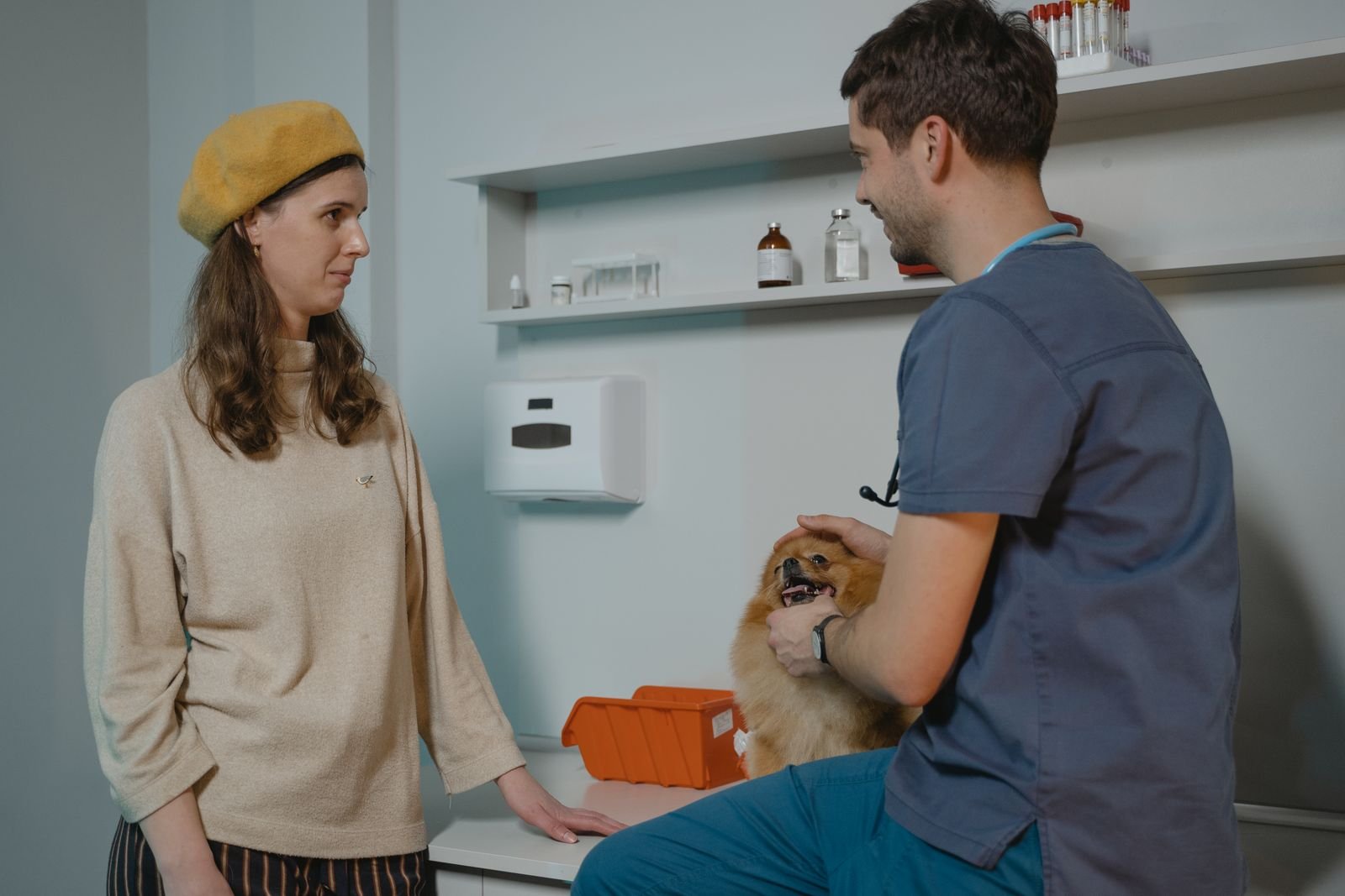 Post surgical home care plan for pets in Bavdhan Pune