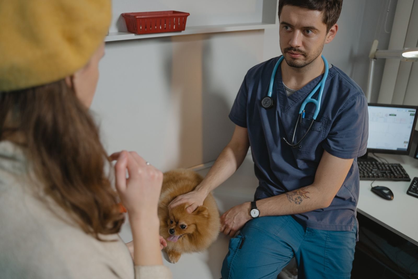 Emergency Vet Supplies