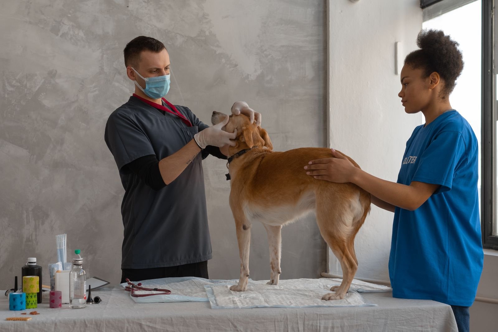 Electrotherapy and Pain Management