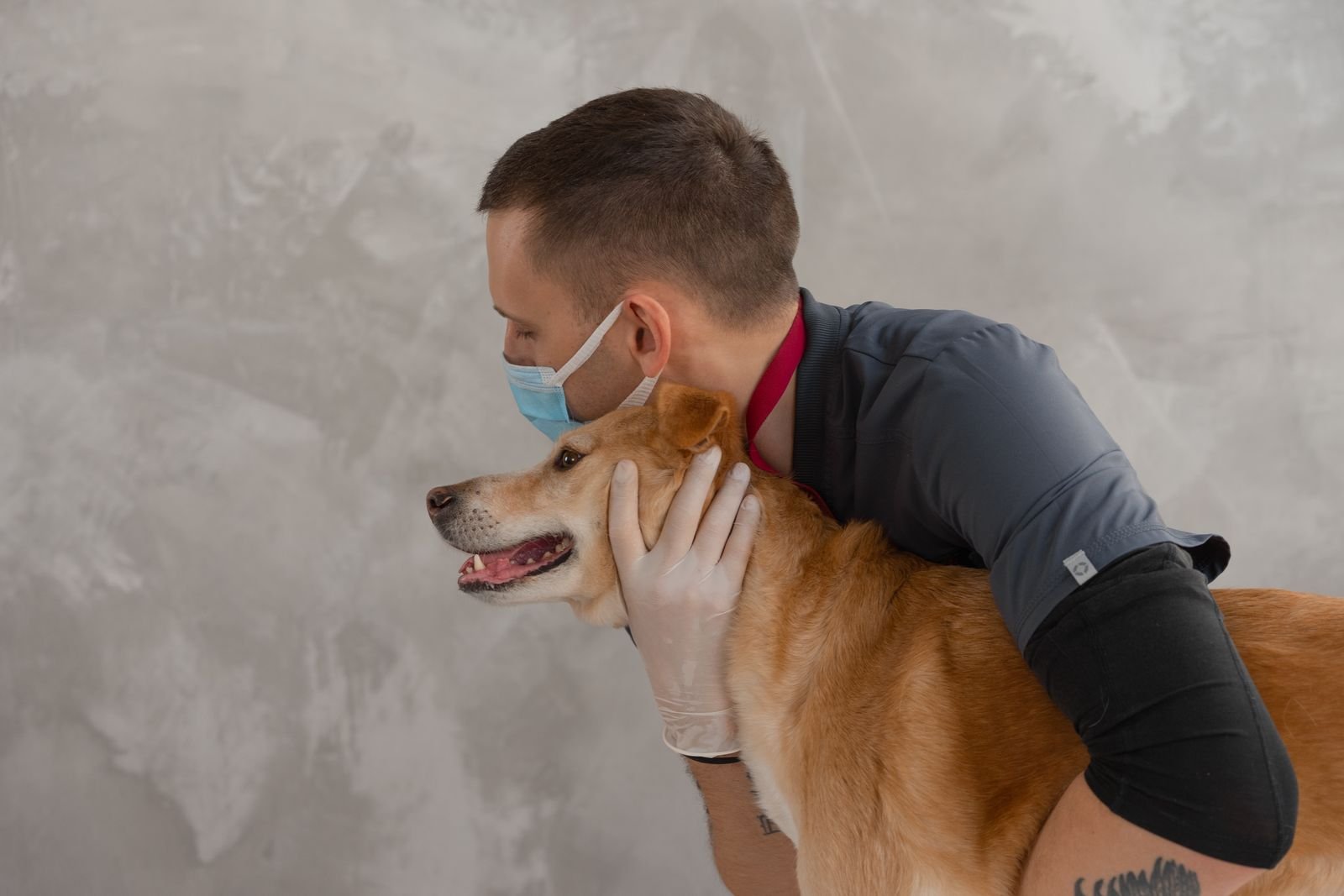 Pet Dental Care Nagercoil - Animal Health