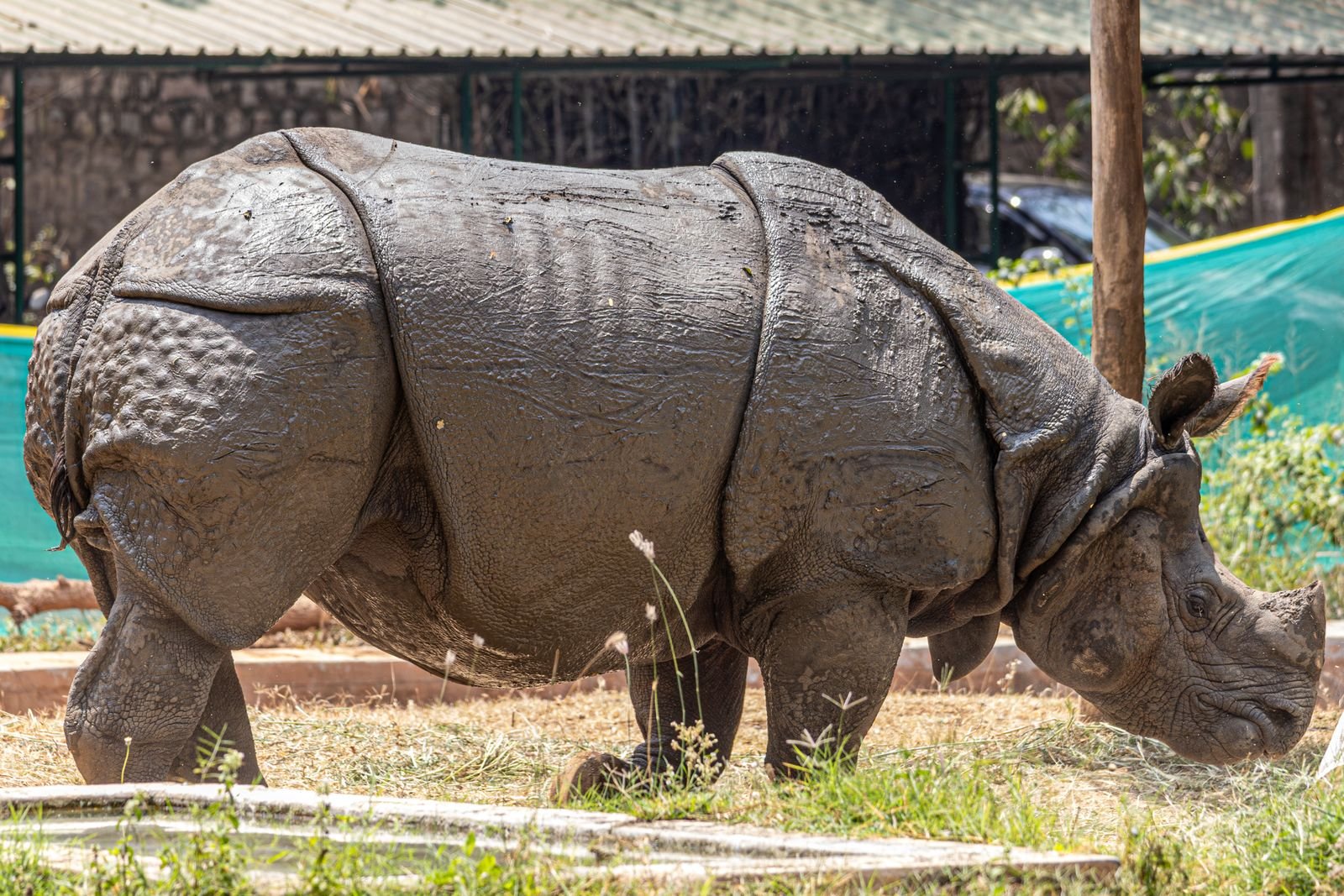 Wildlife veterinary treatment and critical care unit in Pune