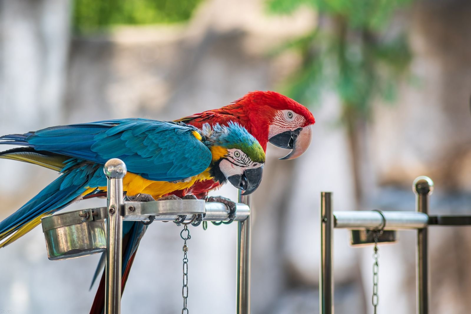 Habitat and Enclosure Design Services Mumbai
