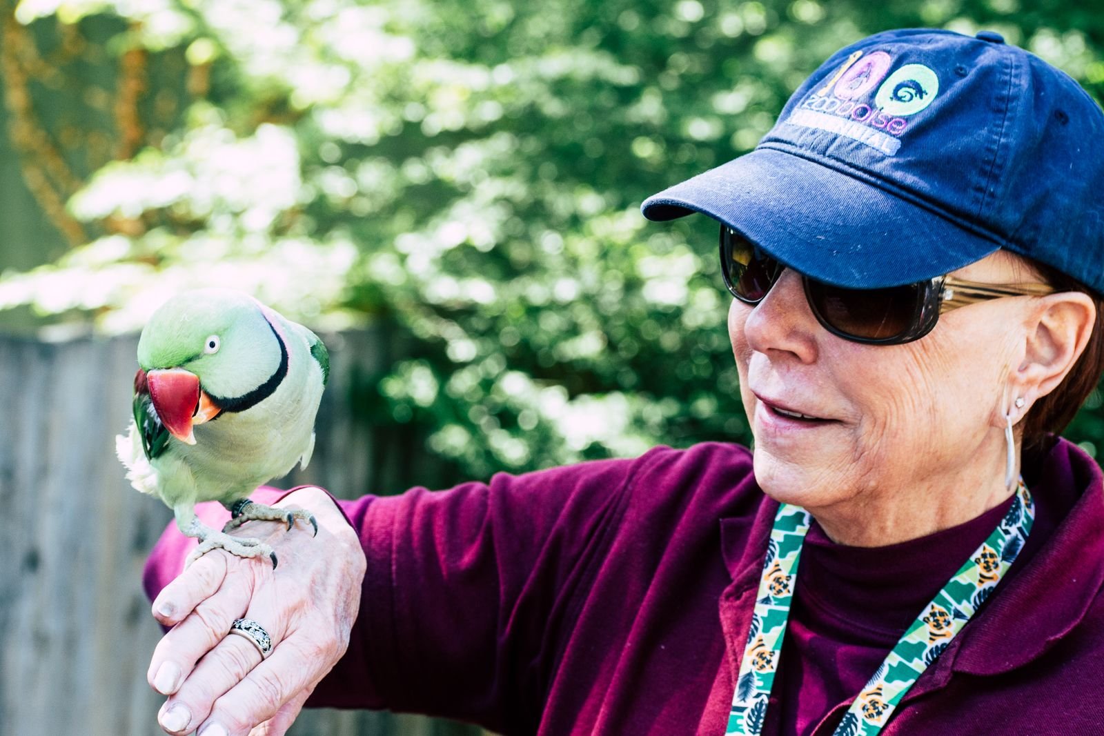 Preventive Healthcare and Vaccination for Exotic Animals