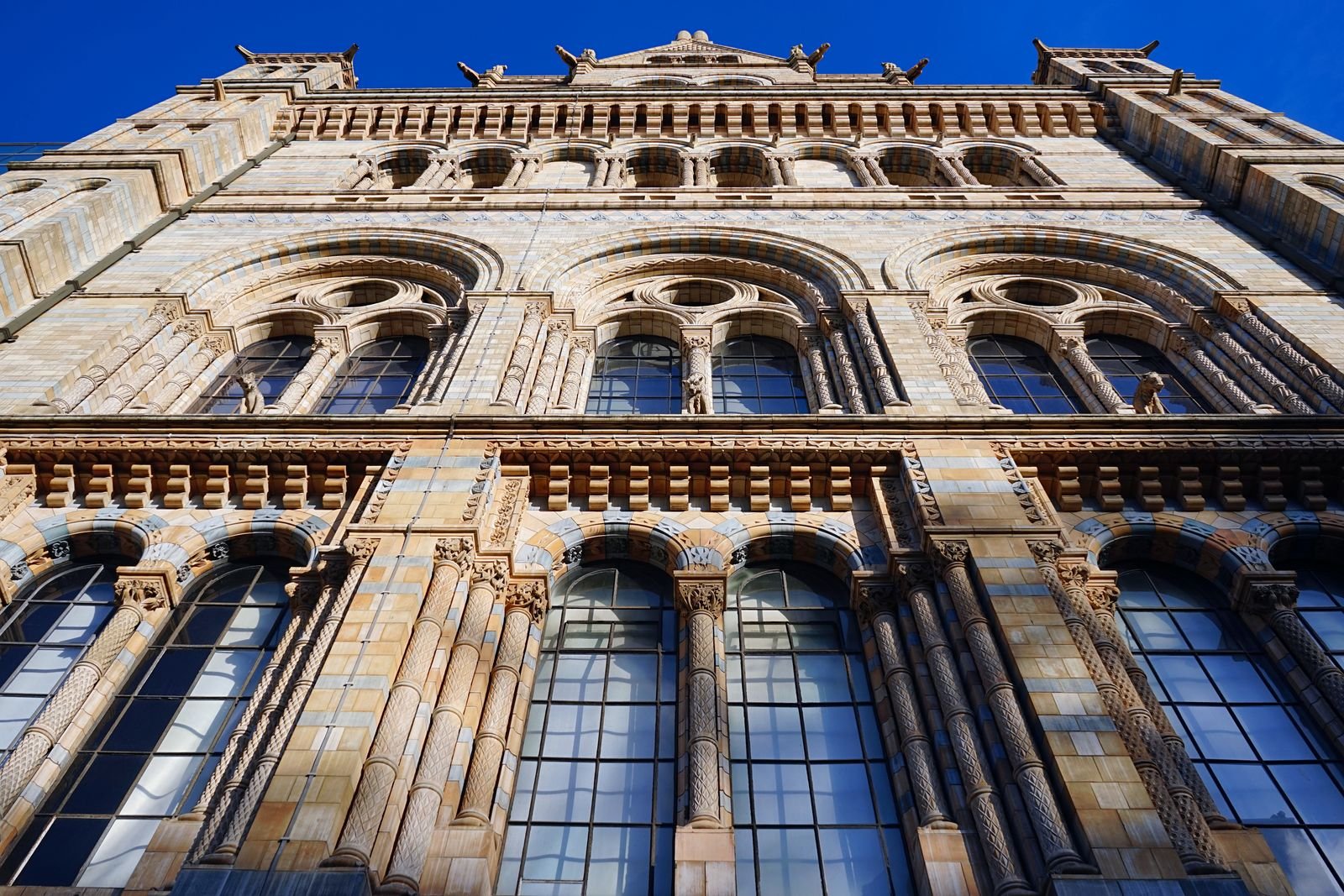 Timber preservation and woodwork restoration in heritage building