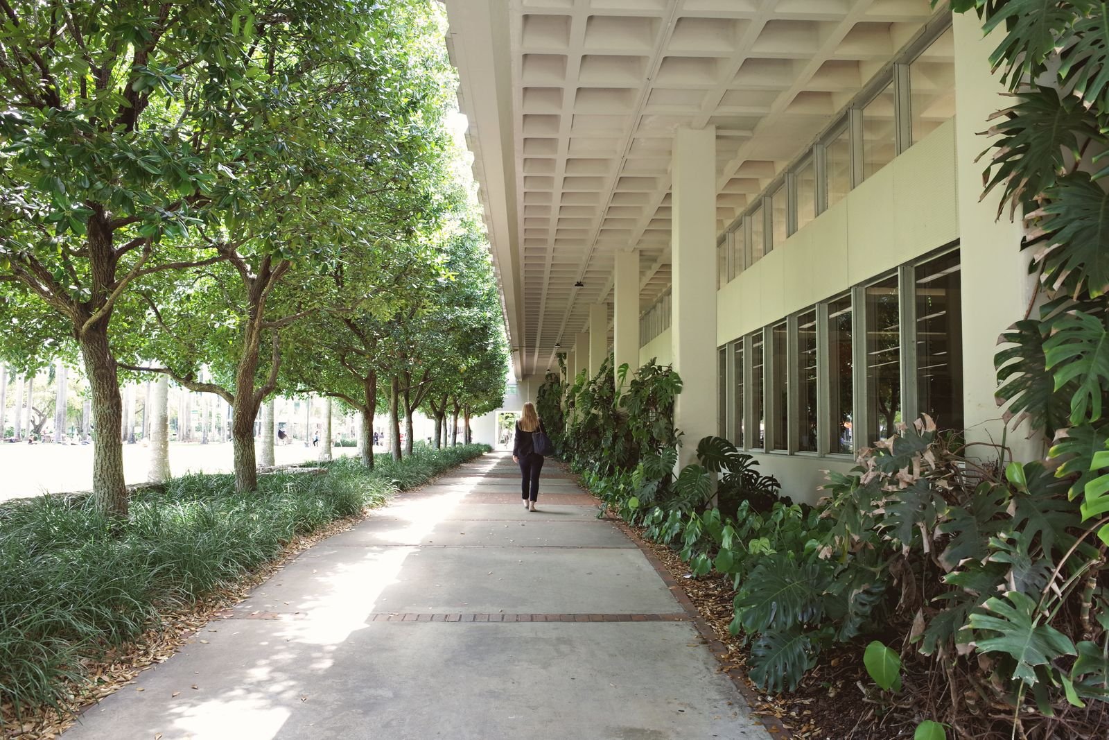 University lecture hall and auditorium architecture
