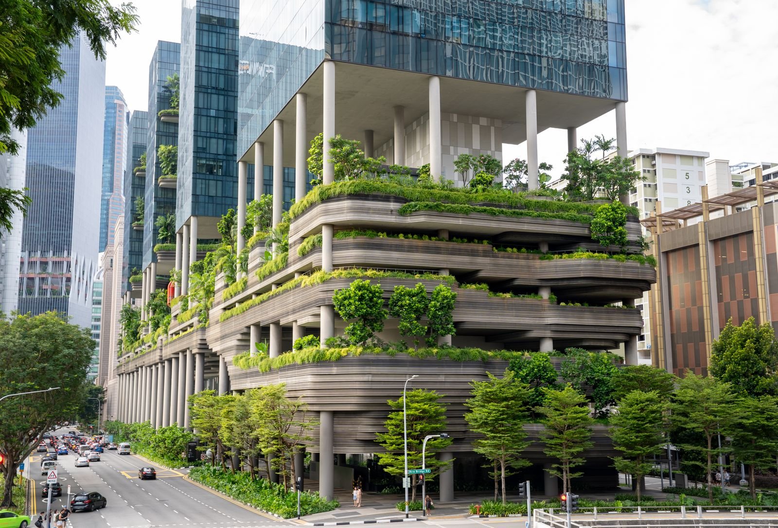Annual landscape maintenance AMC services Coimbatore