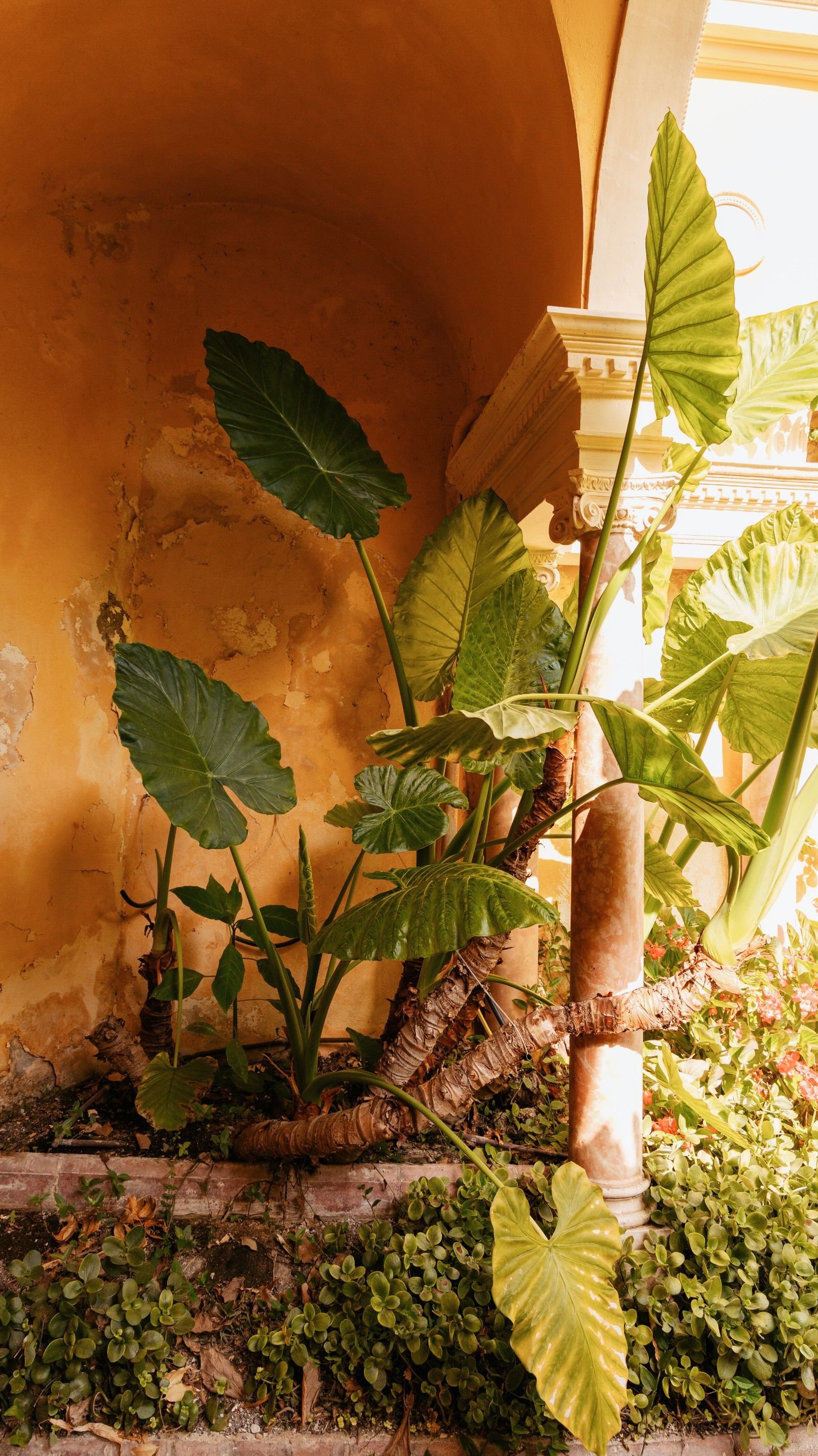 Rainwater harvesting and bioswale systems for landscapes in Hyderabad