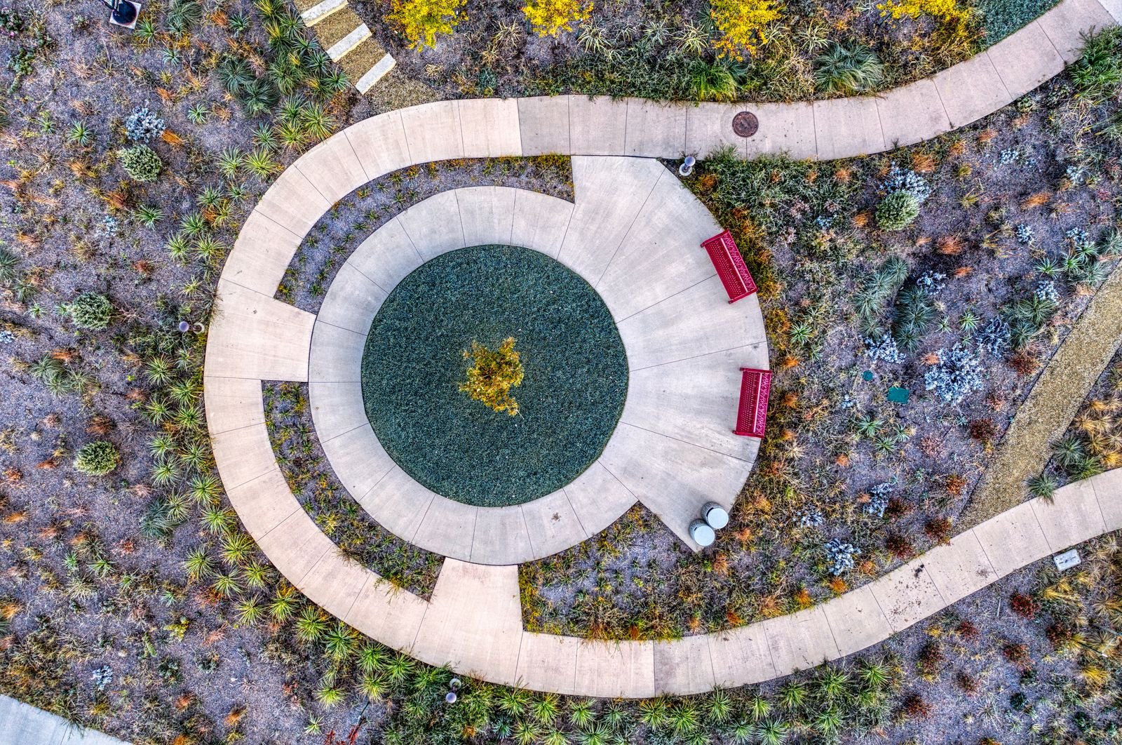 Xeriscape and drought tolerant landscaping Hyderabad