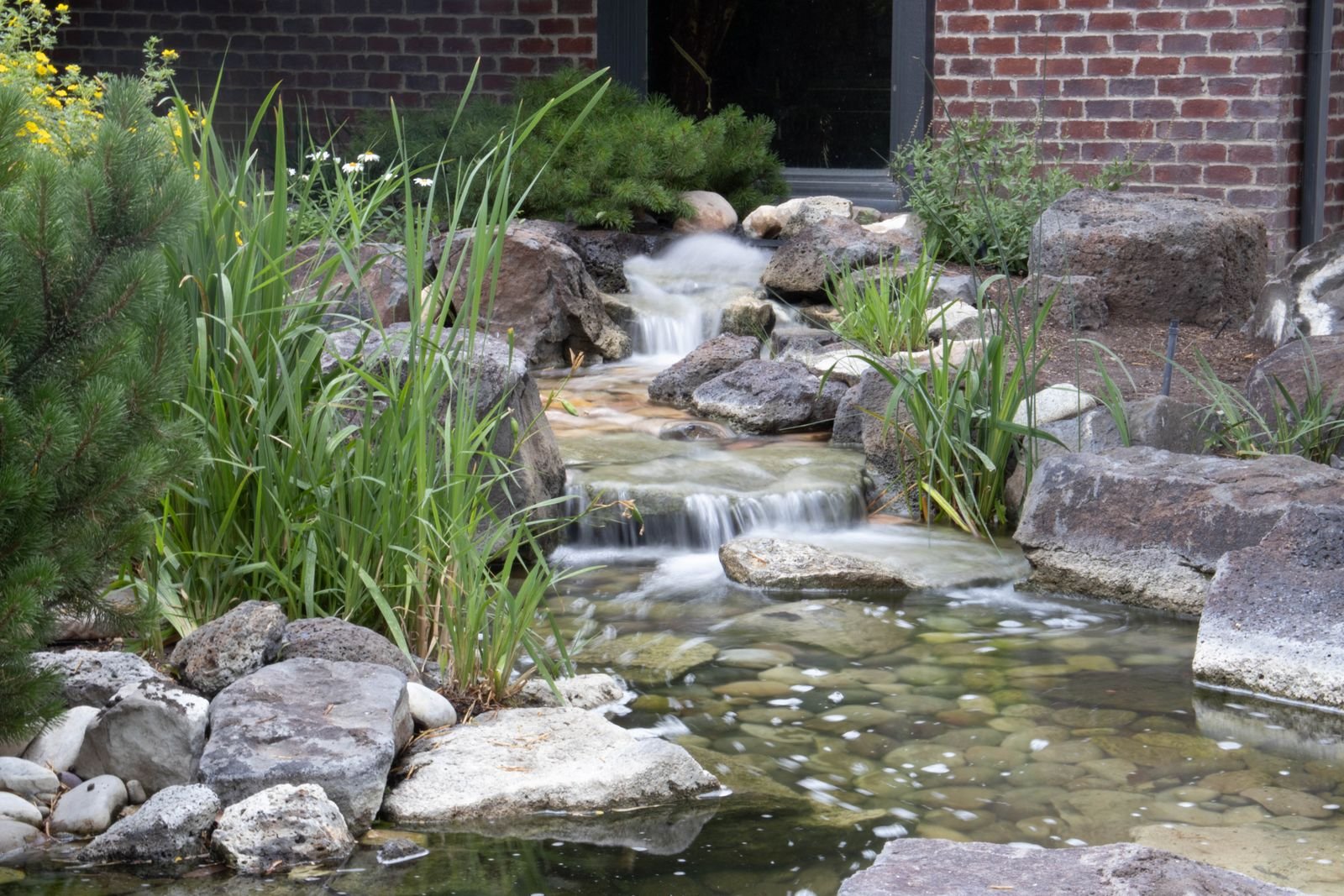 Ecological landscape maintenance and stewardship Hyderabad
