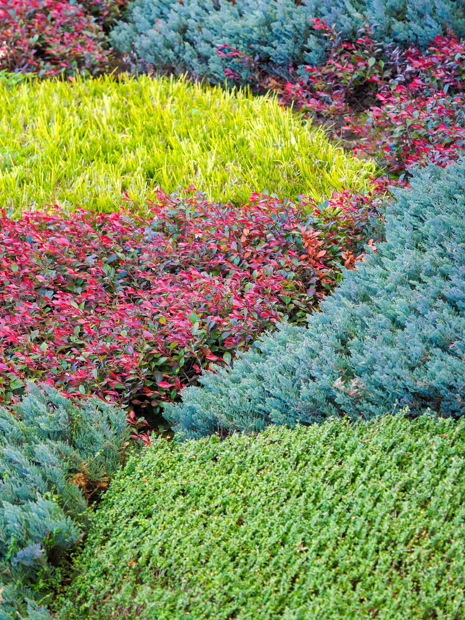 Lawn development and turfing services Nagercoil