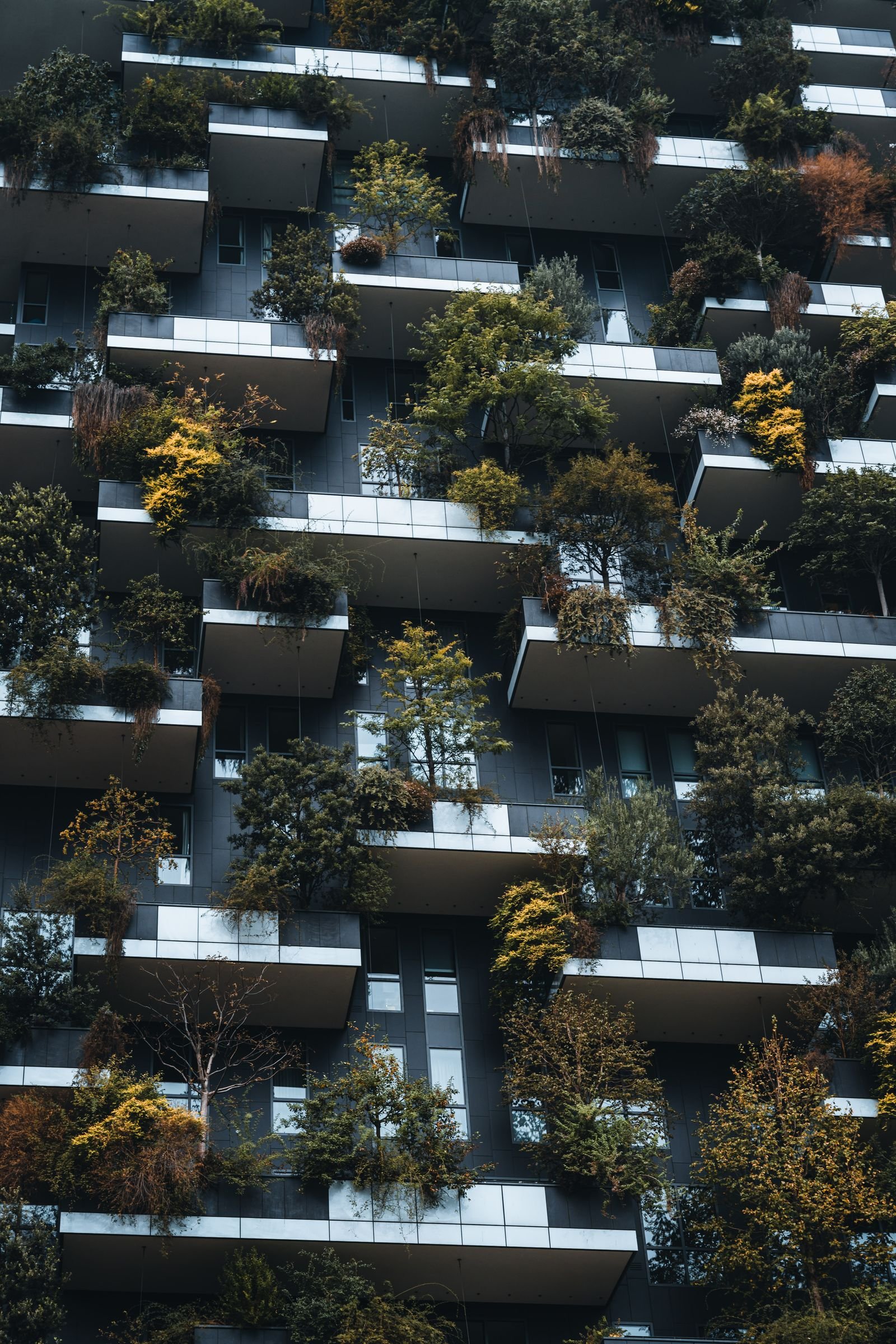 Green building certification advisory in Durg