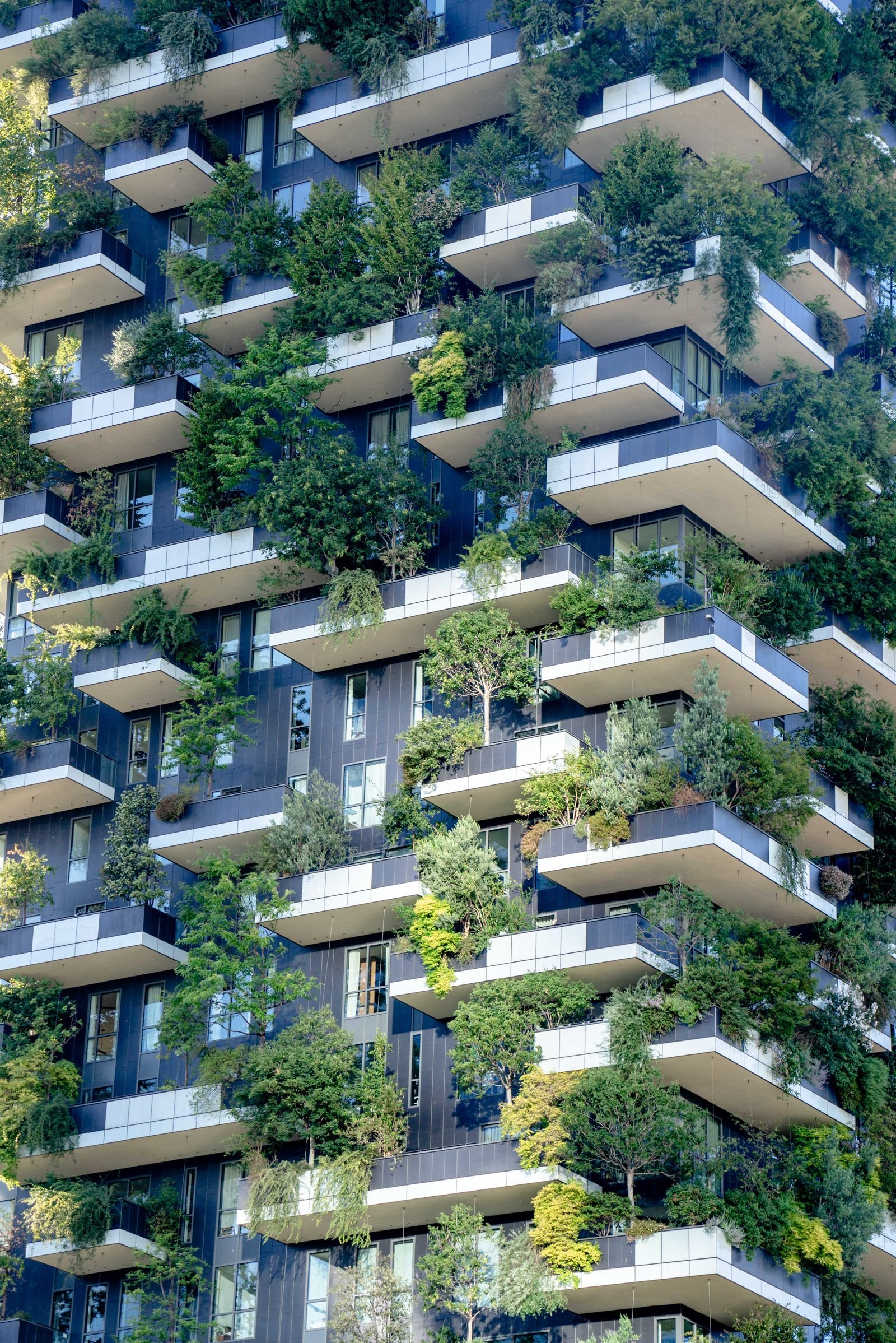 Sustainable building materials specification