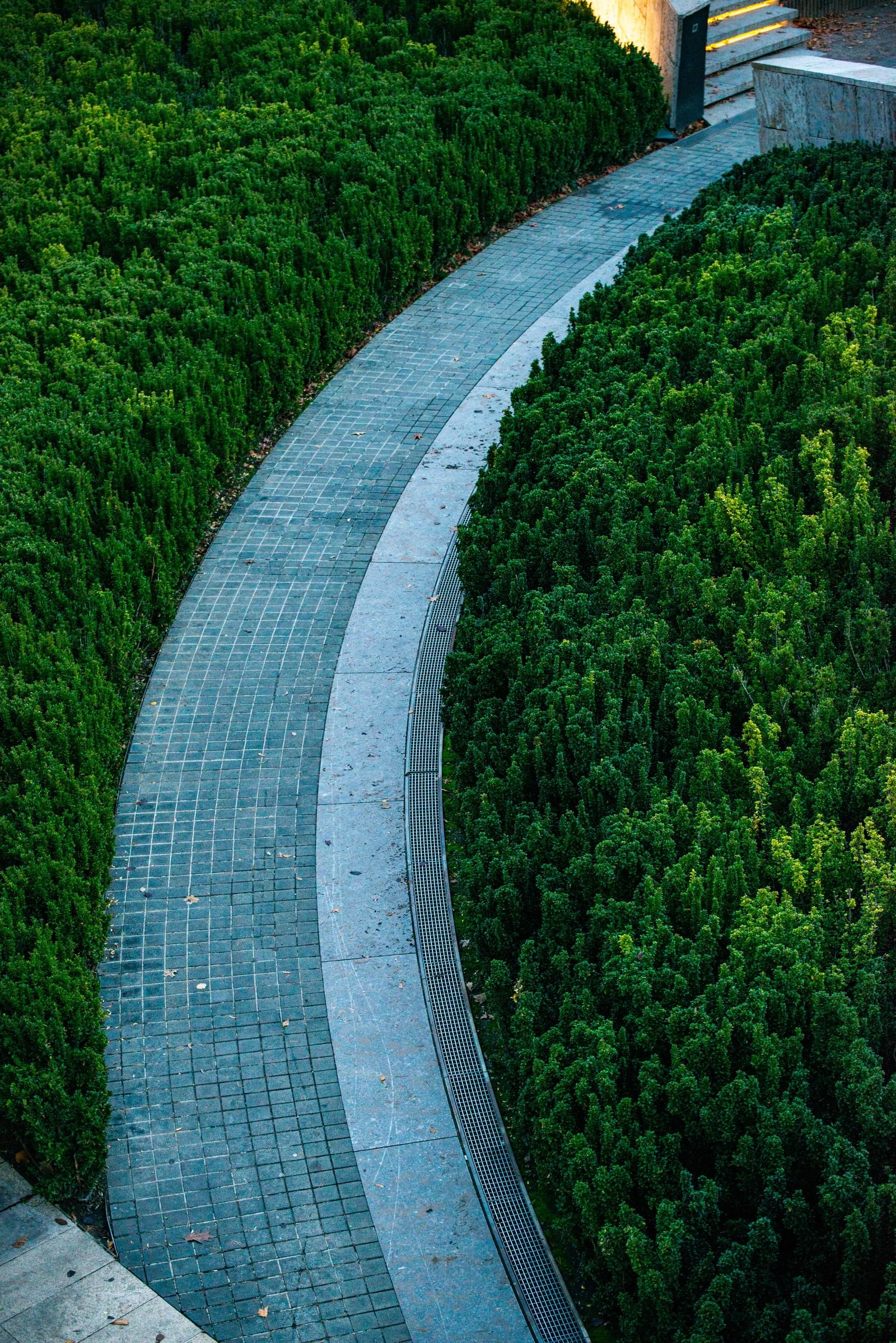 Landscape master planning service in Durg India