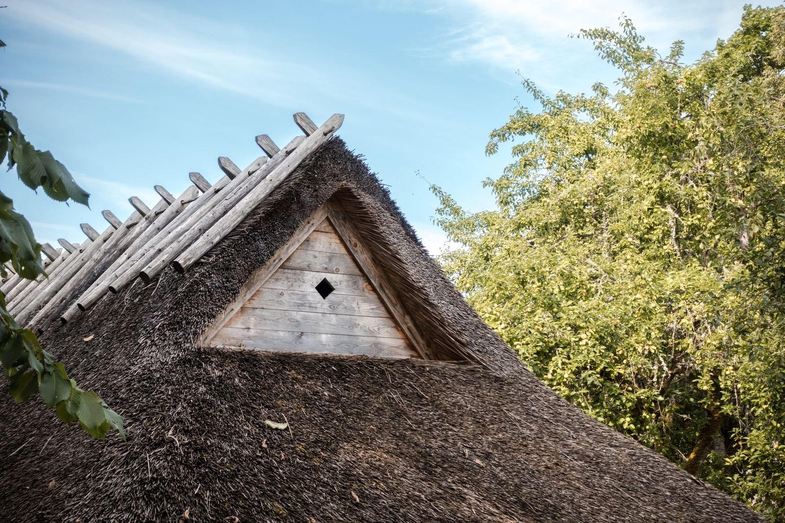 Traditional timber and Kath-Kuni structure design Jammu