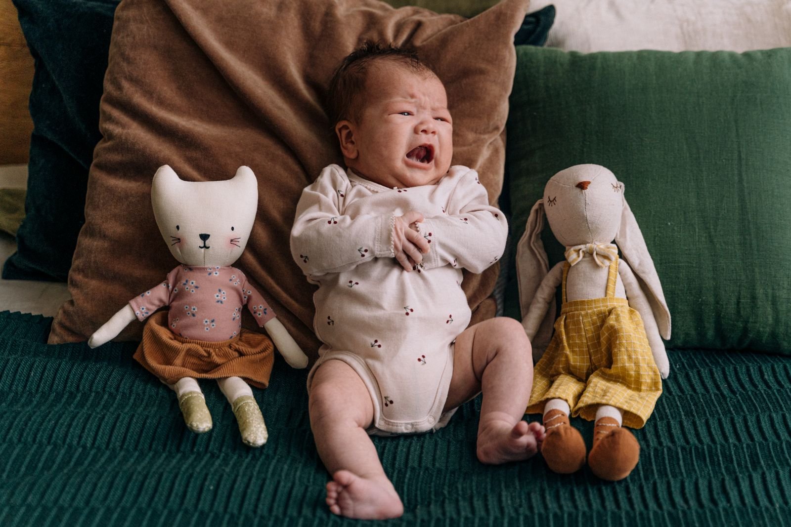 Plush teddy bears for babies in Bhavnagar India