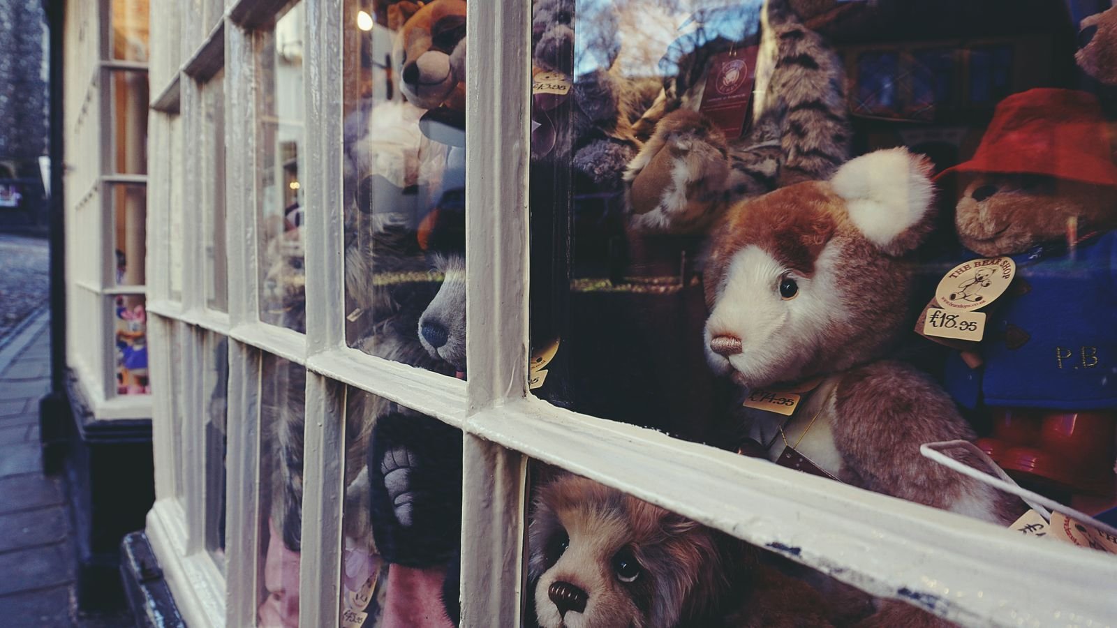 Soft animal toys for toddlers Bhavnagar Gujarat