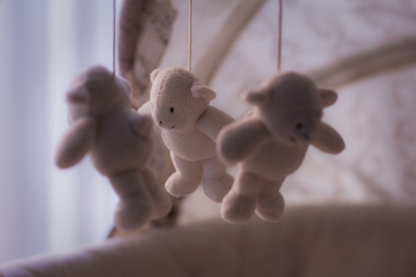 Baby gift hampers soft toy shop Bhavnagar India
