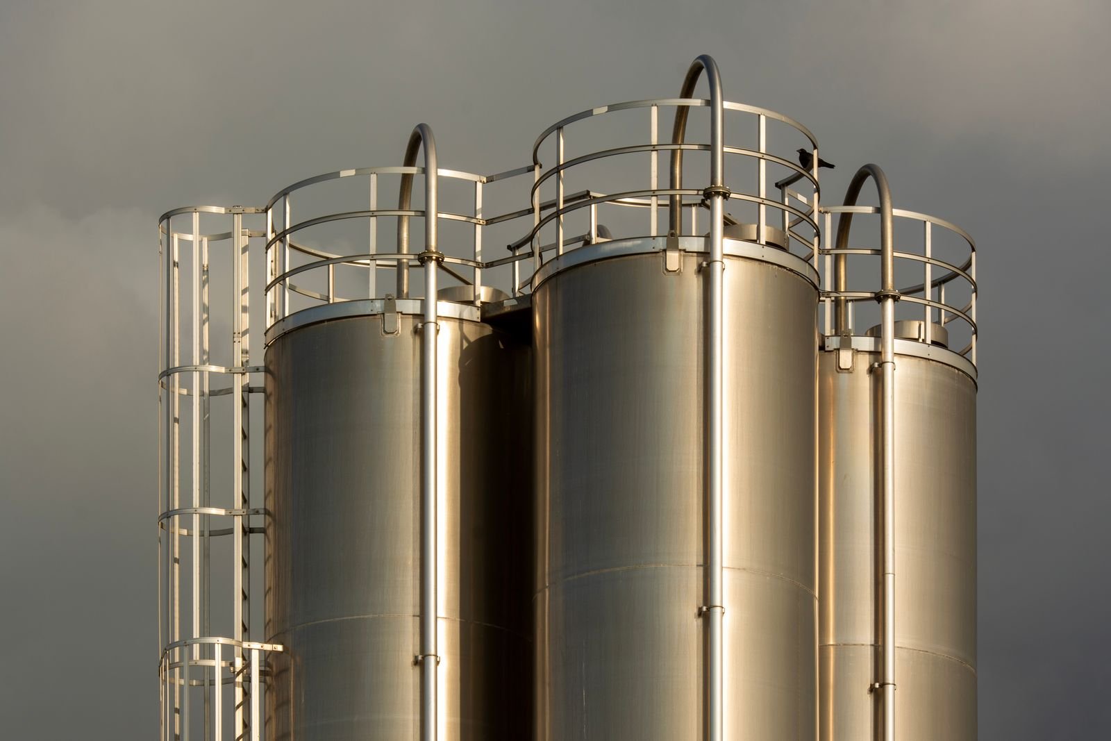 Cloud encryption and data compliance