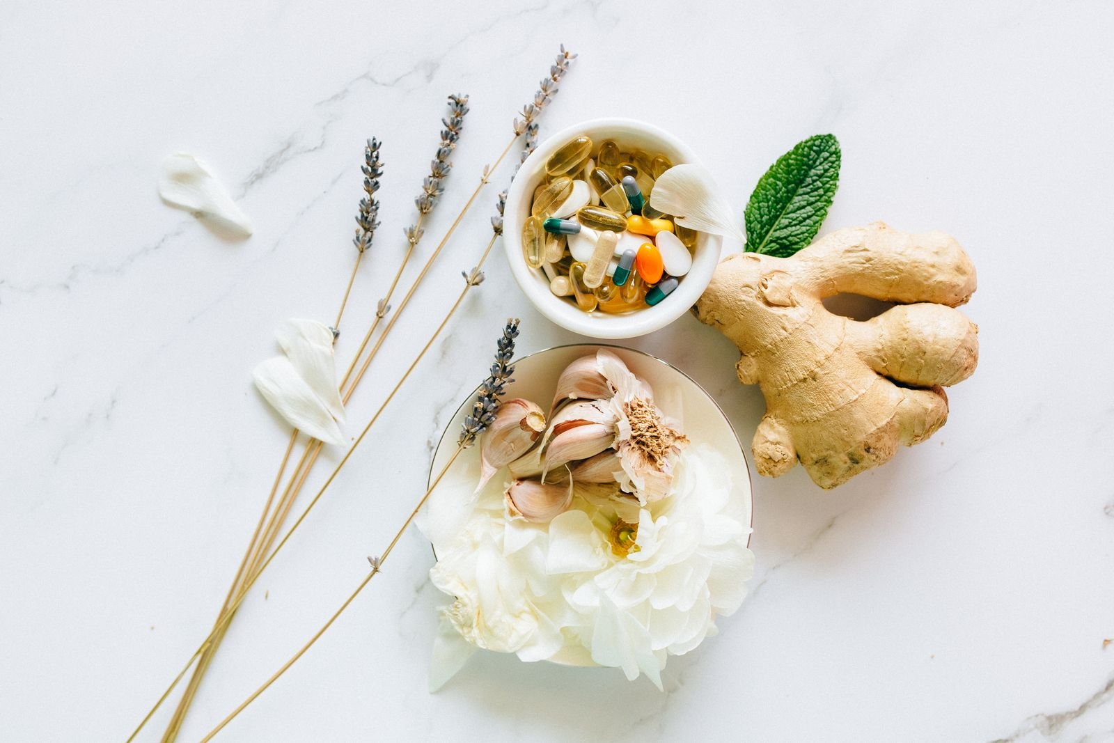 Plant based vegan protein powder India