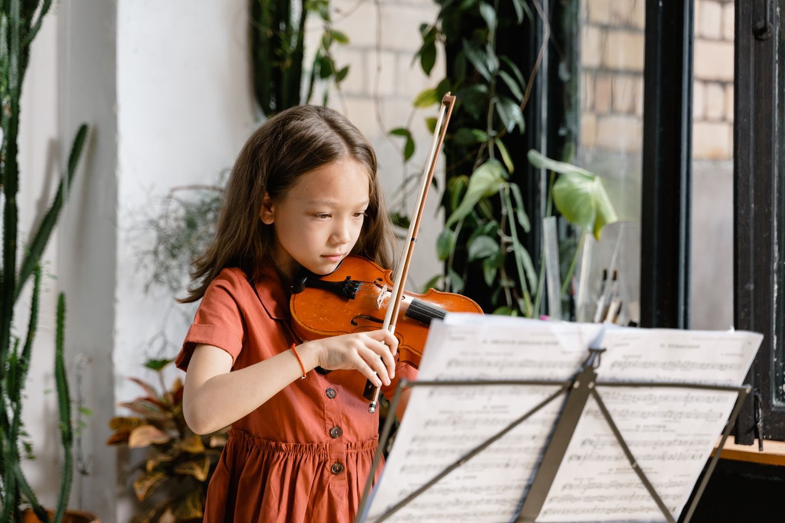 Hindustani classical violin lessons Prayagraj
