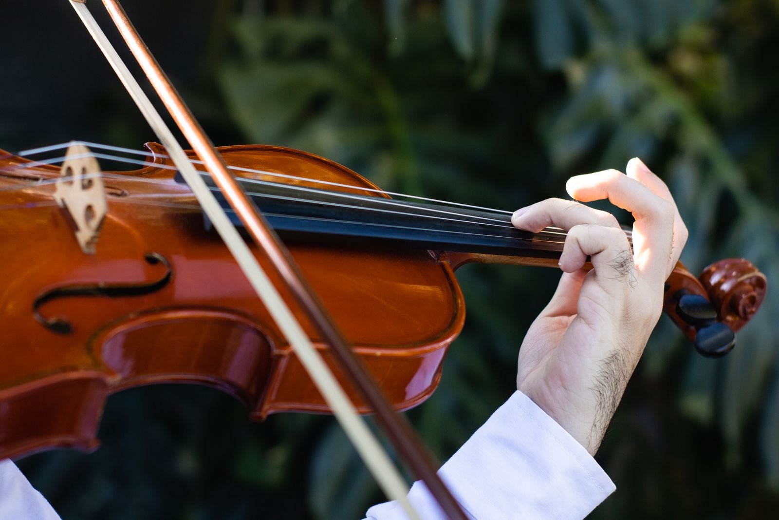 Advanced bowing and fingering technique course