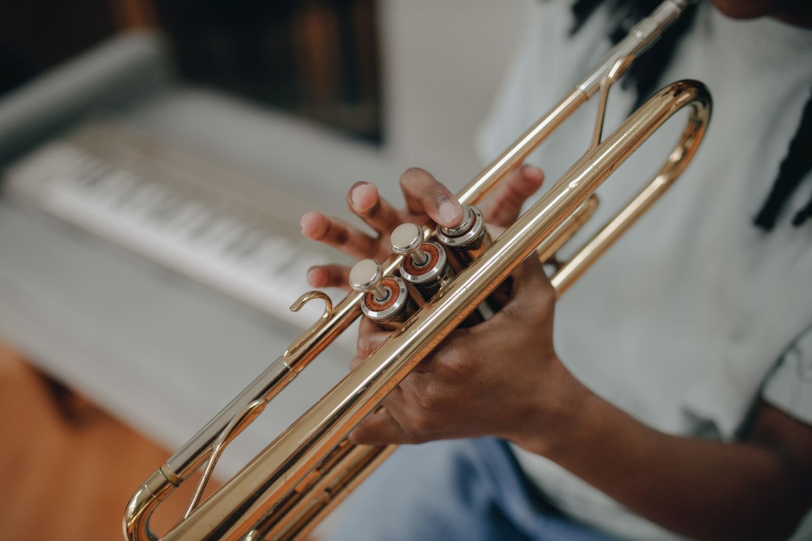 French horn dealer Jabalpur Madhya Pradesh