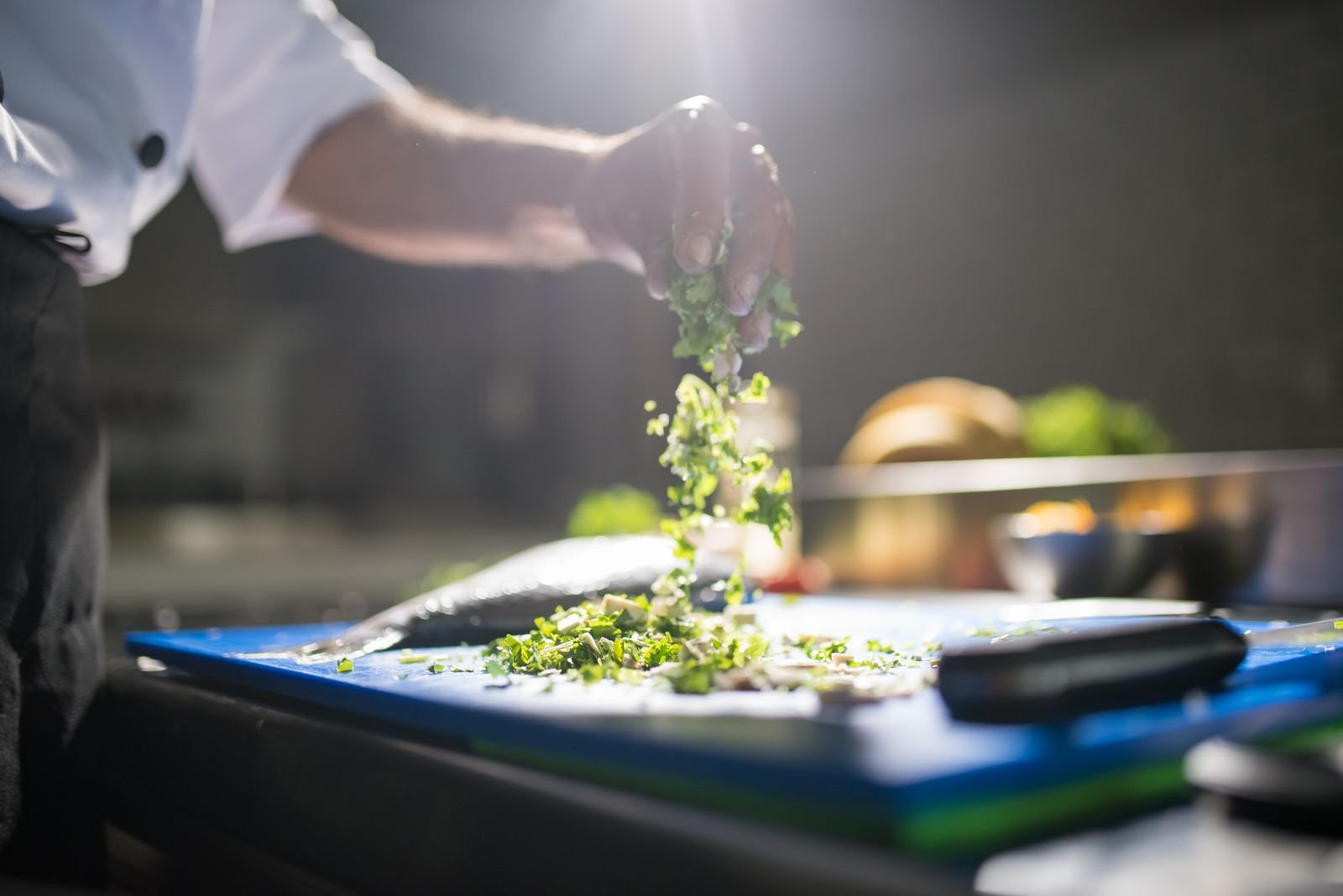 Healthy diet and wellness meal chef service