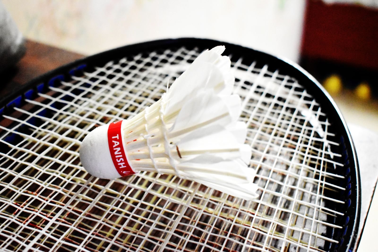Badminton overgrips and replacement grips Kadapa