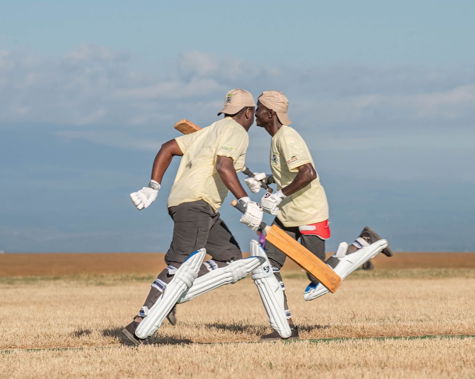Kashmir willow cricket bats for training and practice