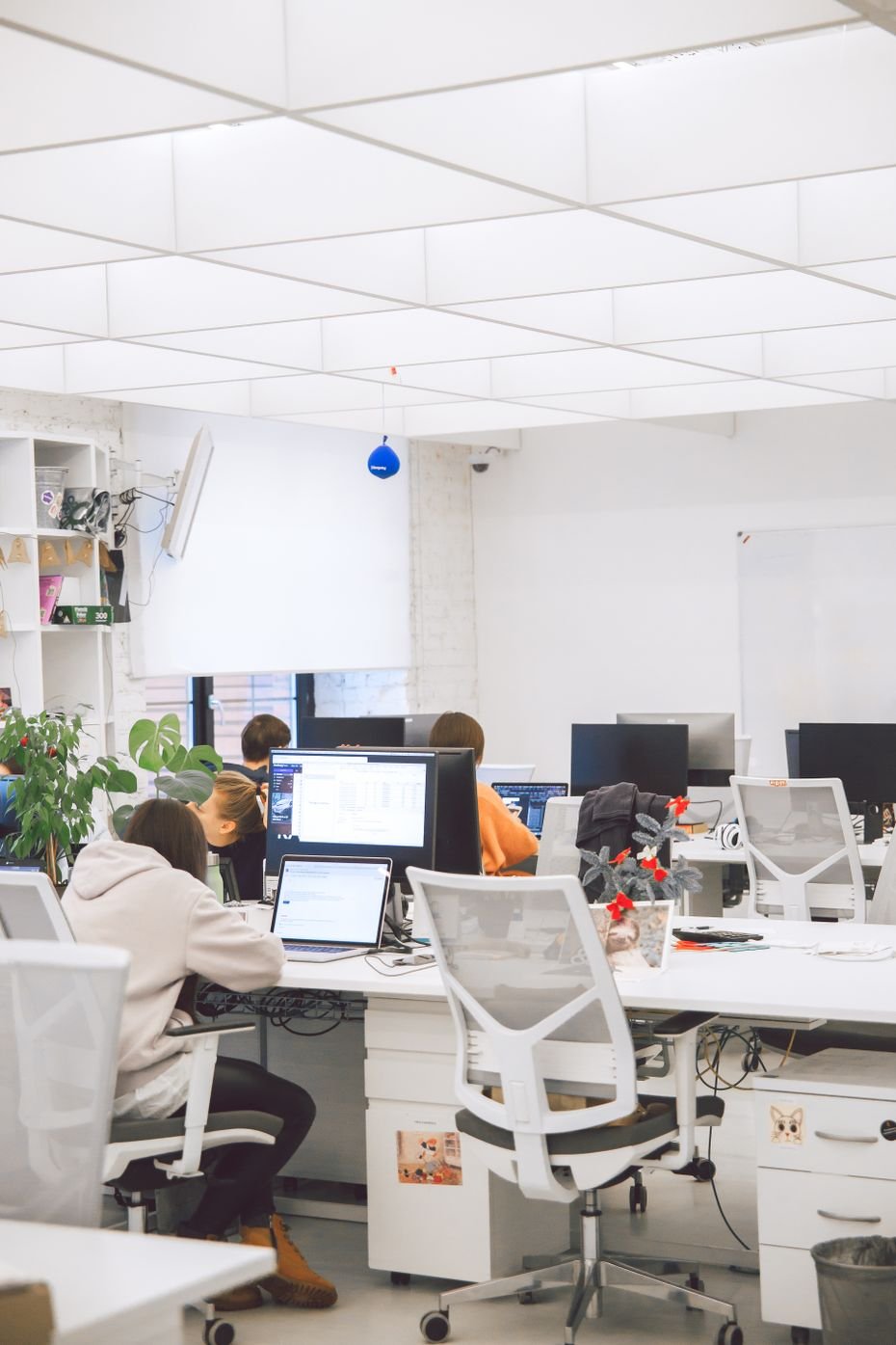 CEO - Computer Business Bhandup West Mumbai