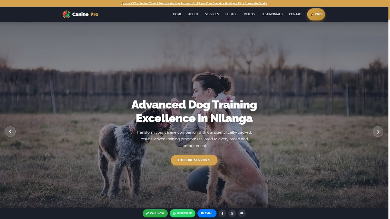 Advanced Dog Training