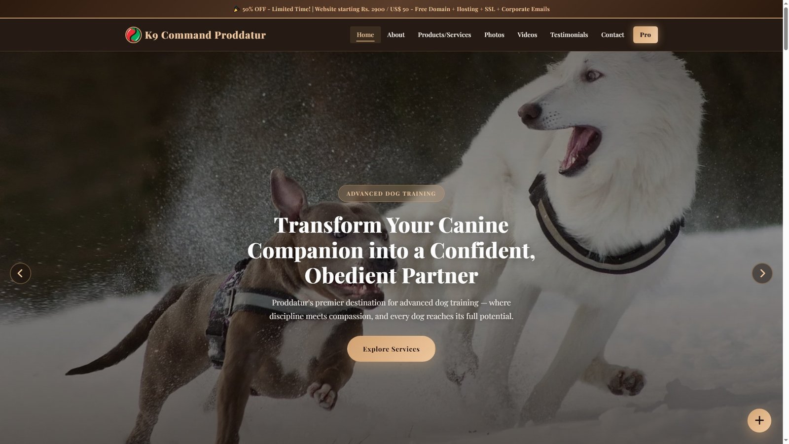 Advanced Dog Training