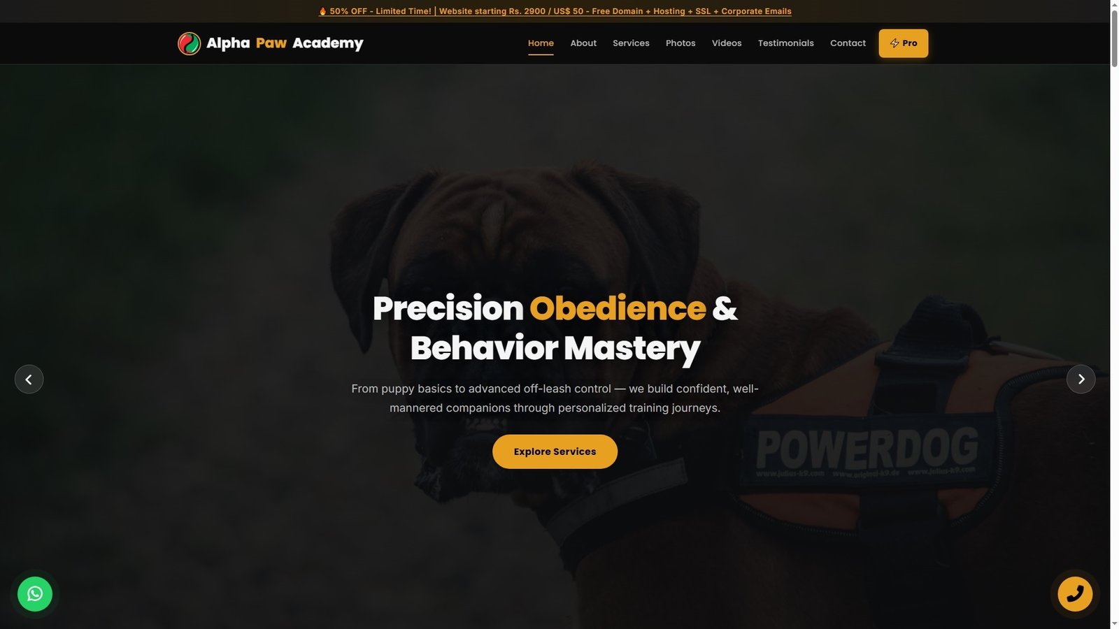 Advanced Dog Training