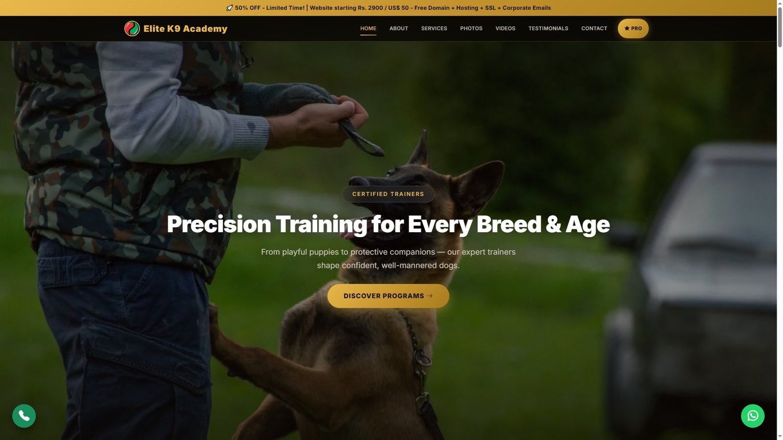 Advanced Dog Training