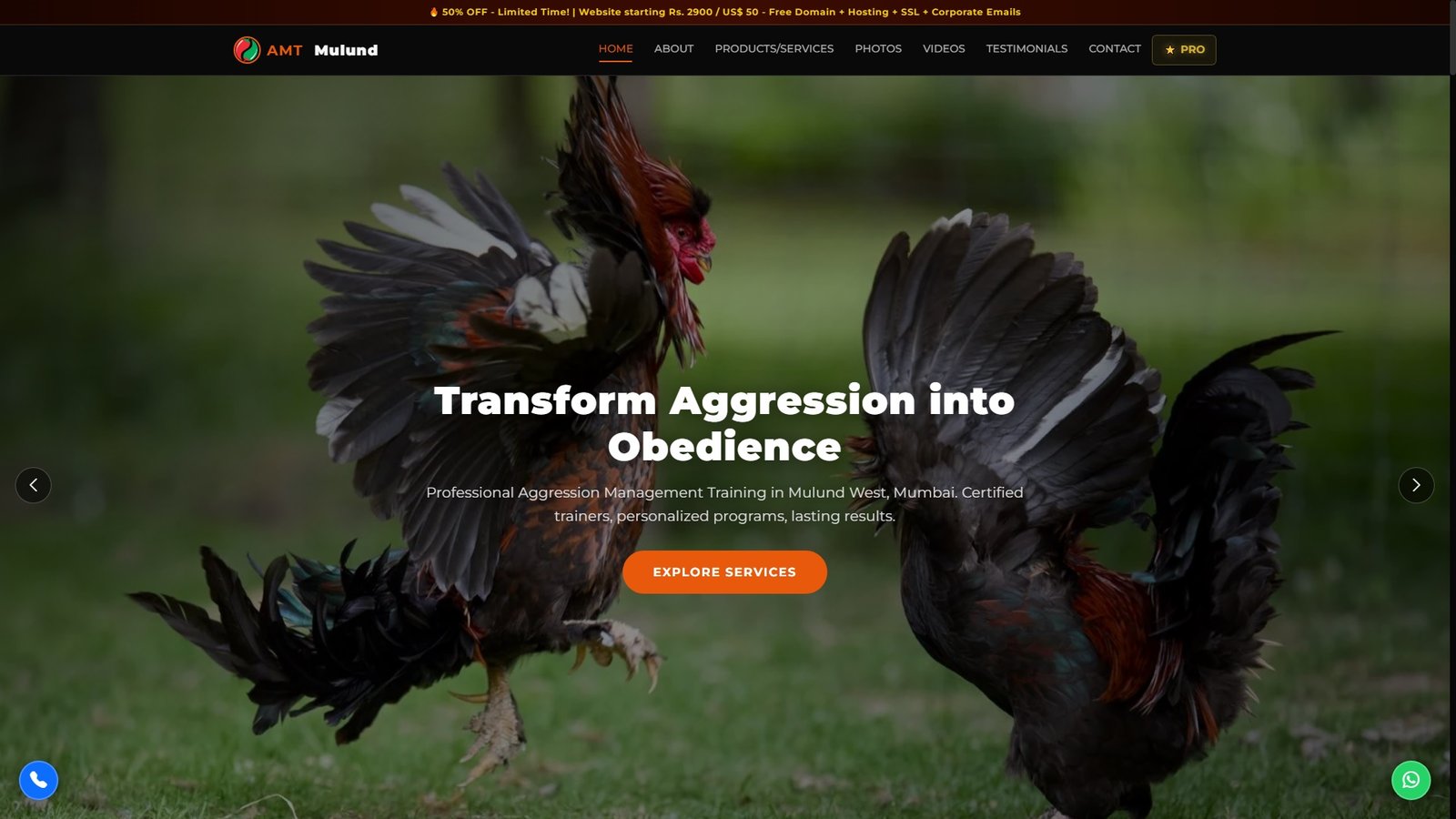 Aggression Management Training