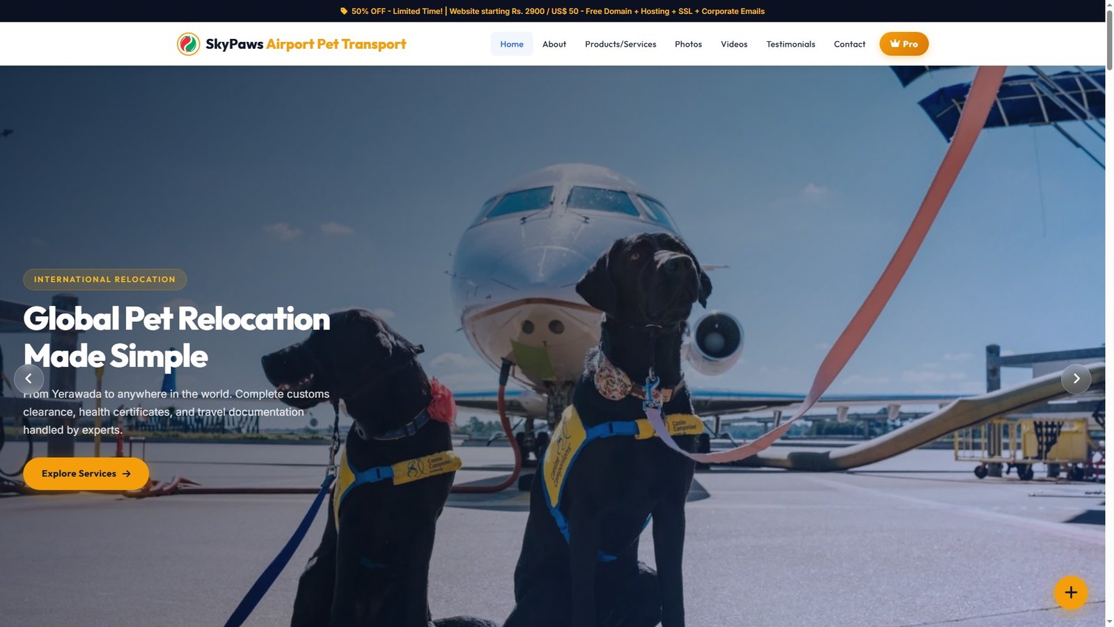 Airport Pet Transportation