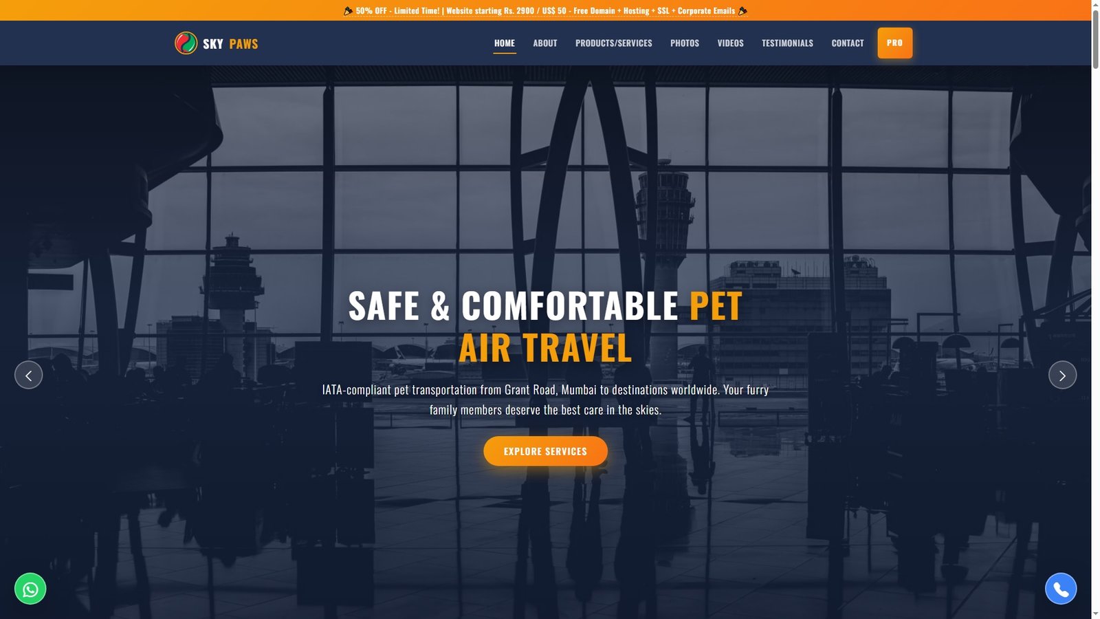 Airport Pet Transportation