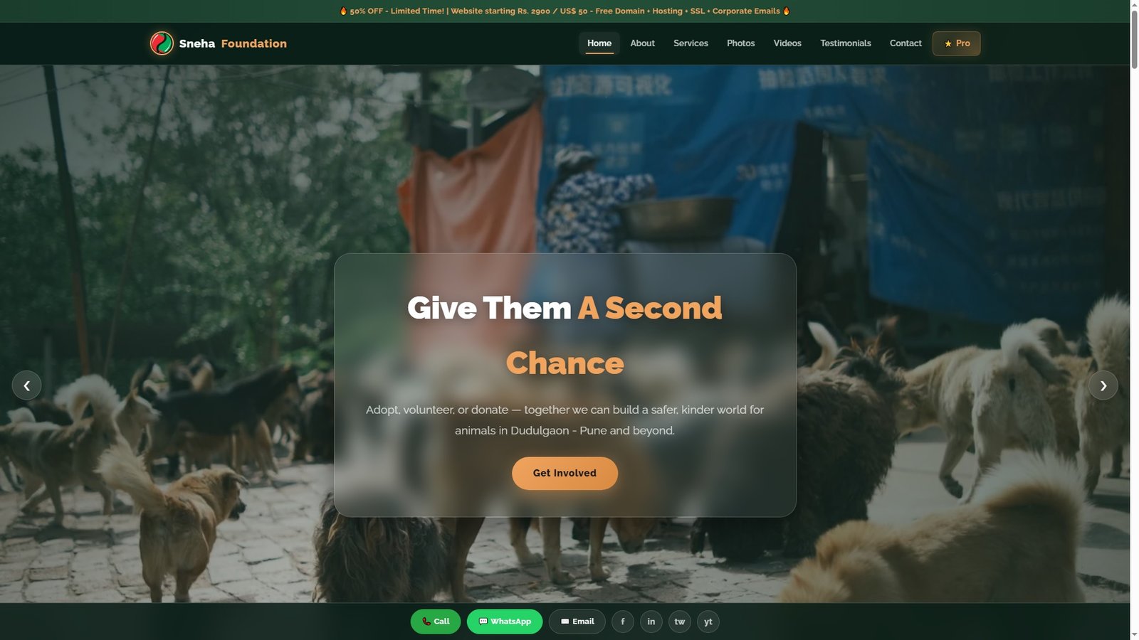 Animal Protection Organizations