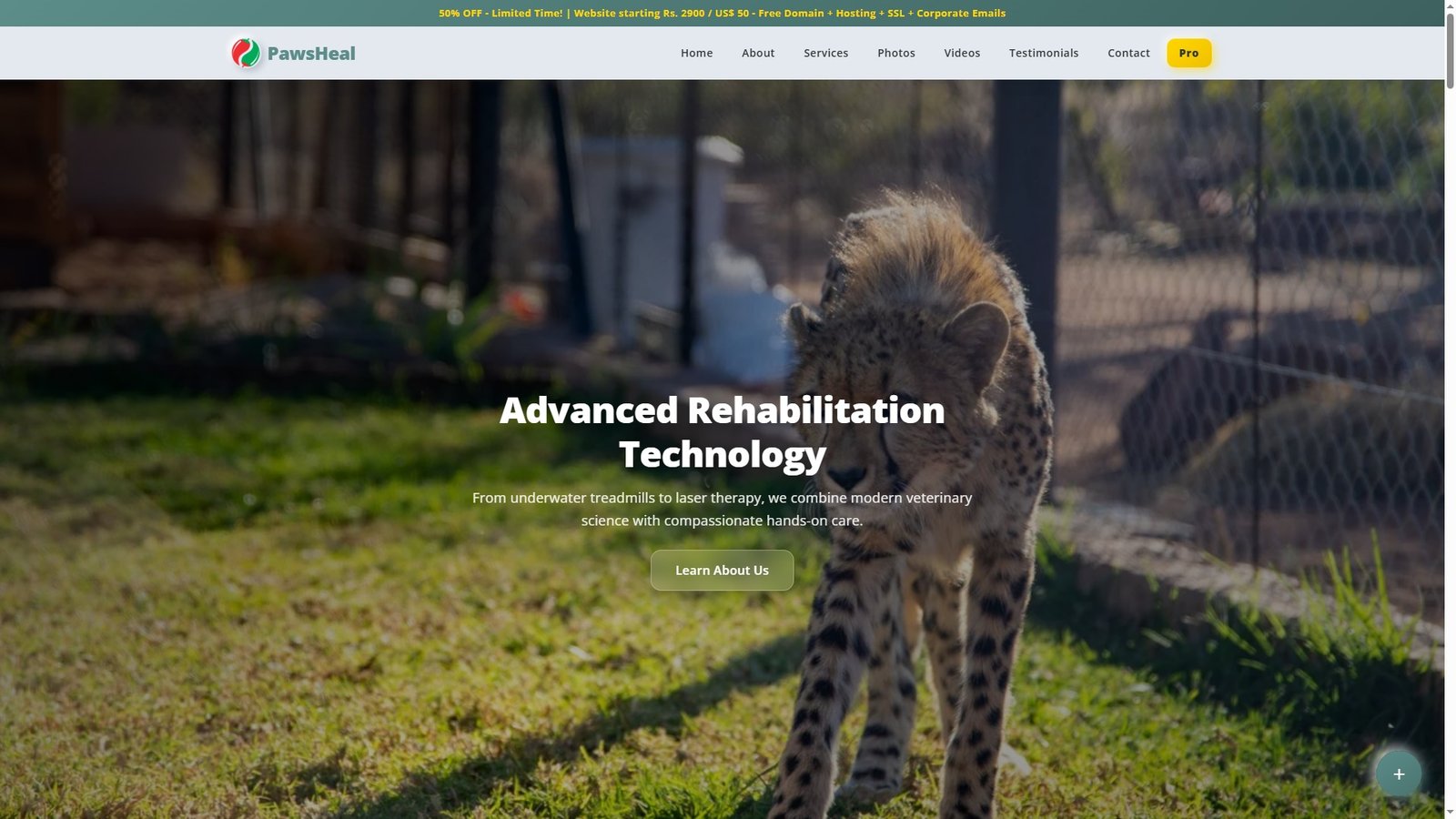 Animal Rehabilitation Centers