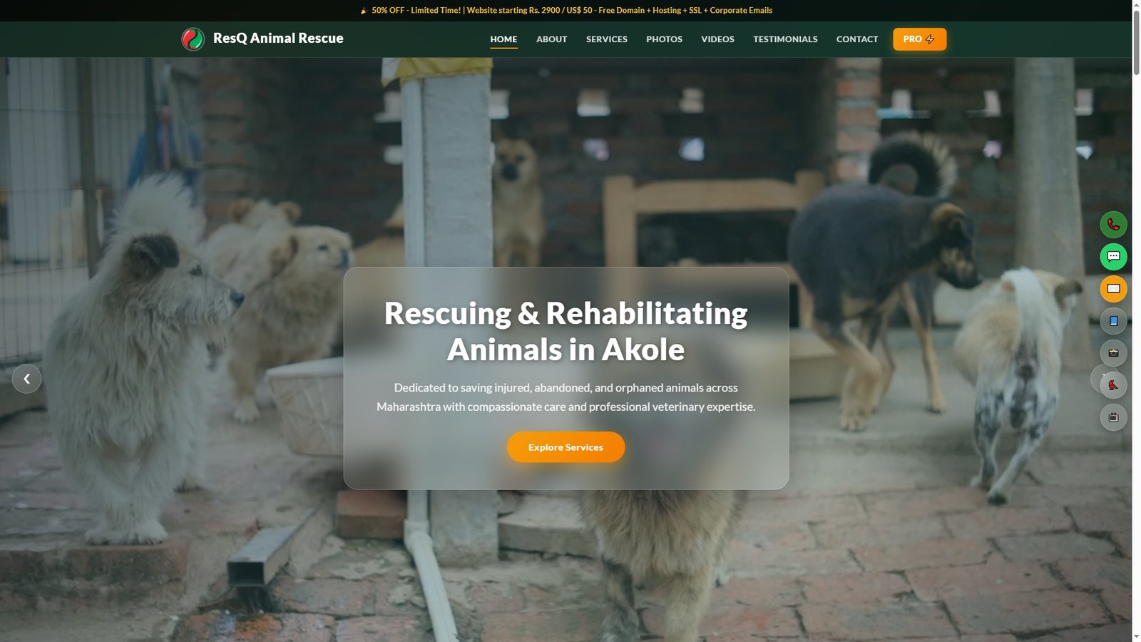 Animal Rescue Centers