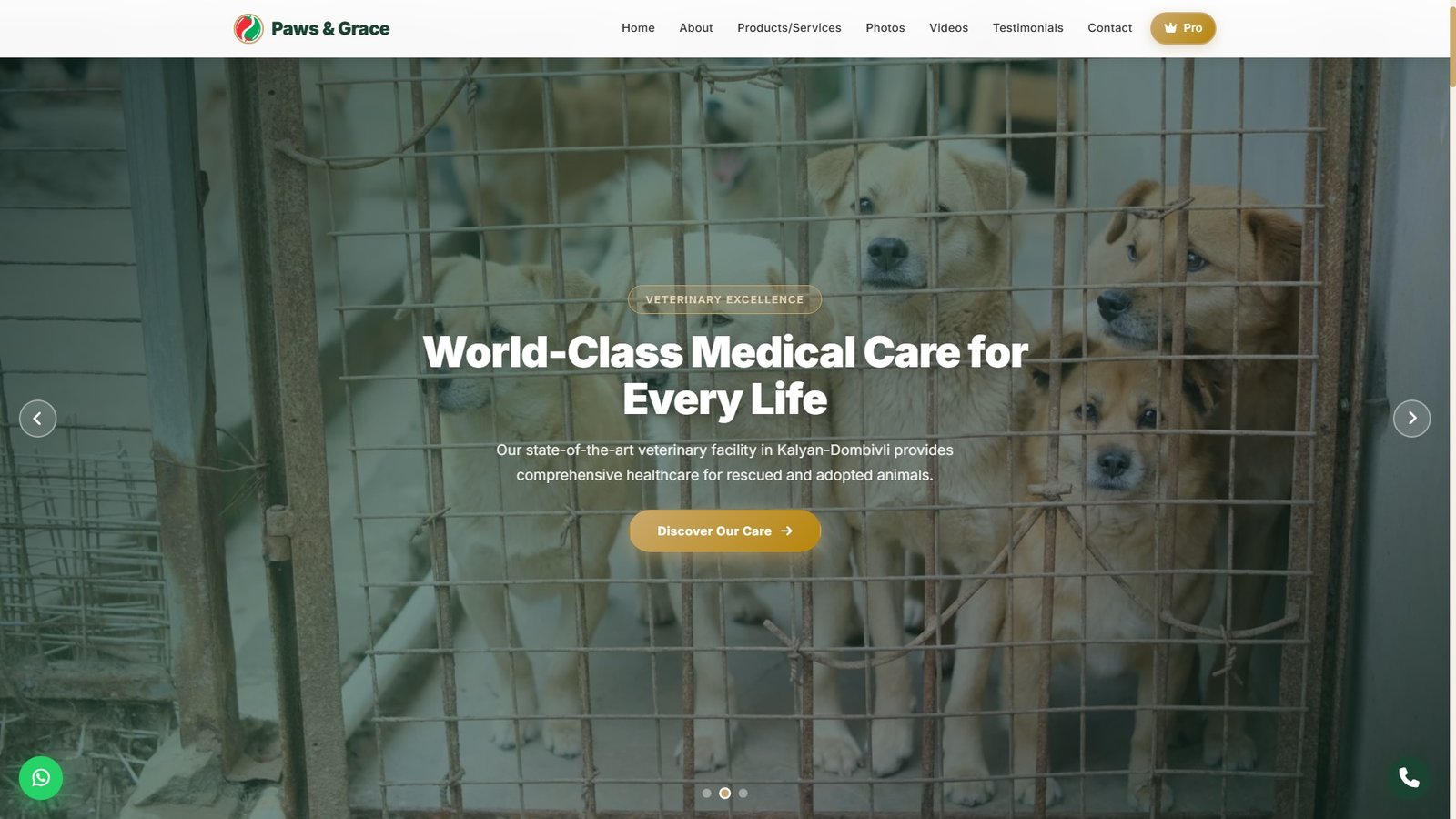 Animal Shelters