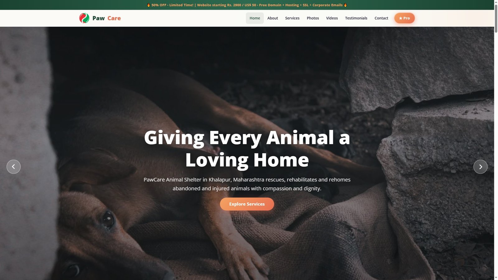 Animal Shelters