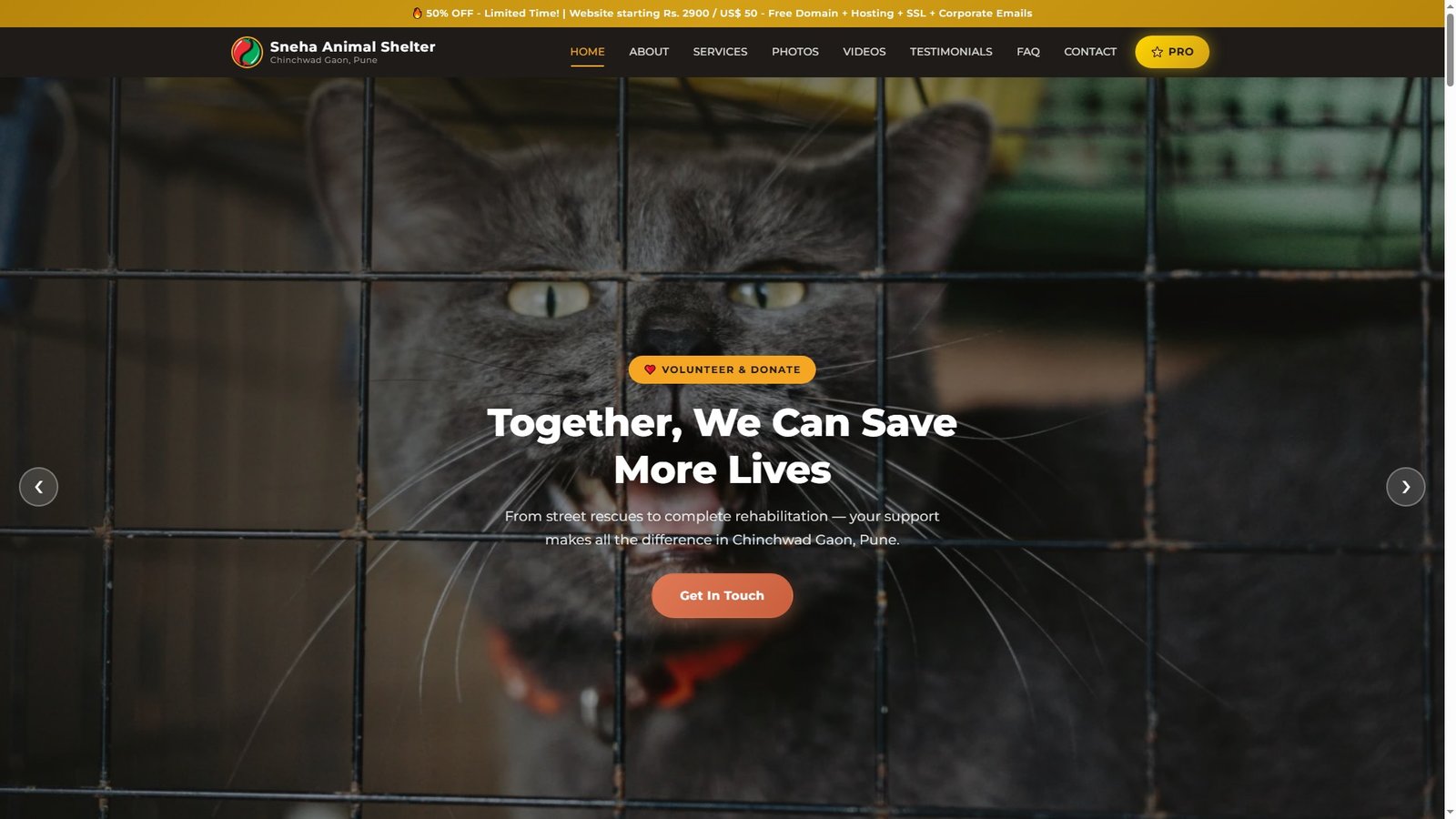 Animal Shelters