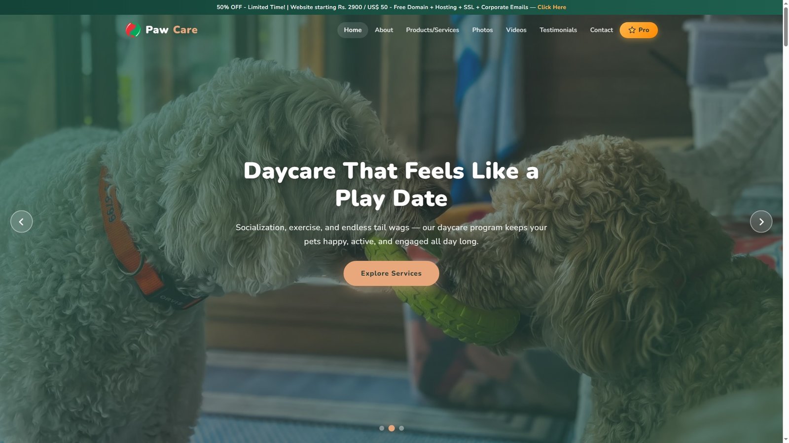 Boarding Sitting and Daycare