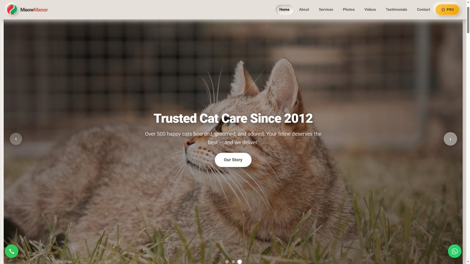 Cat Boarding Facilities
