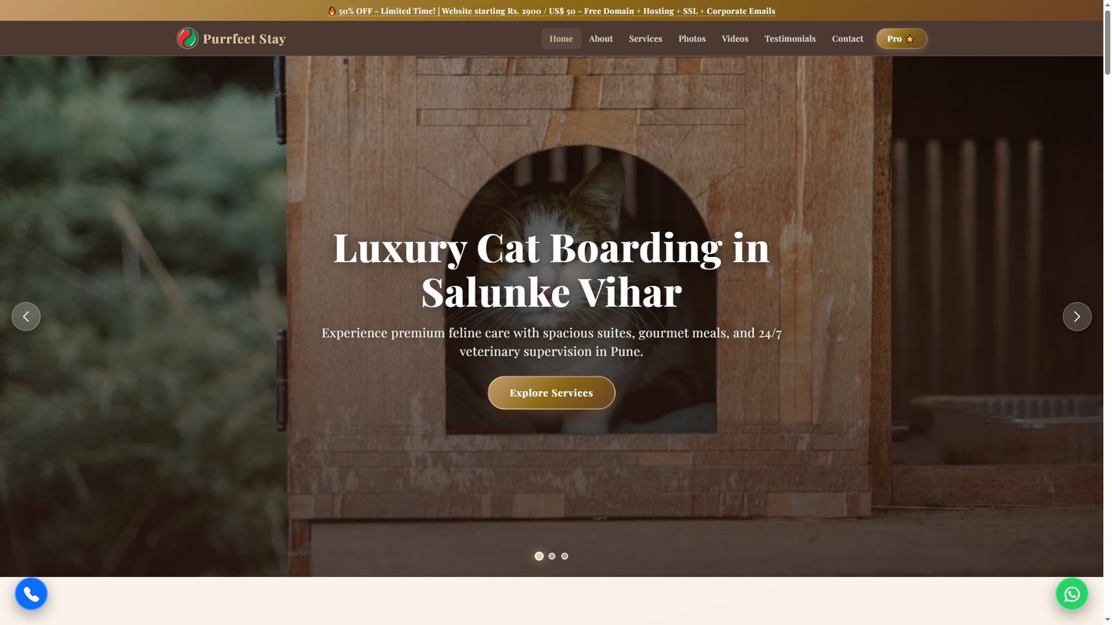 Cat Boarding Facilities