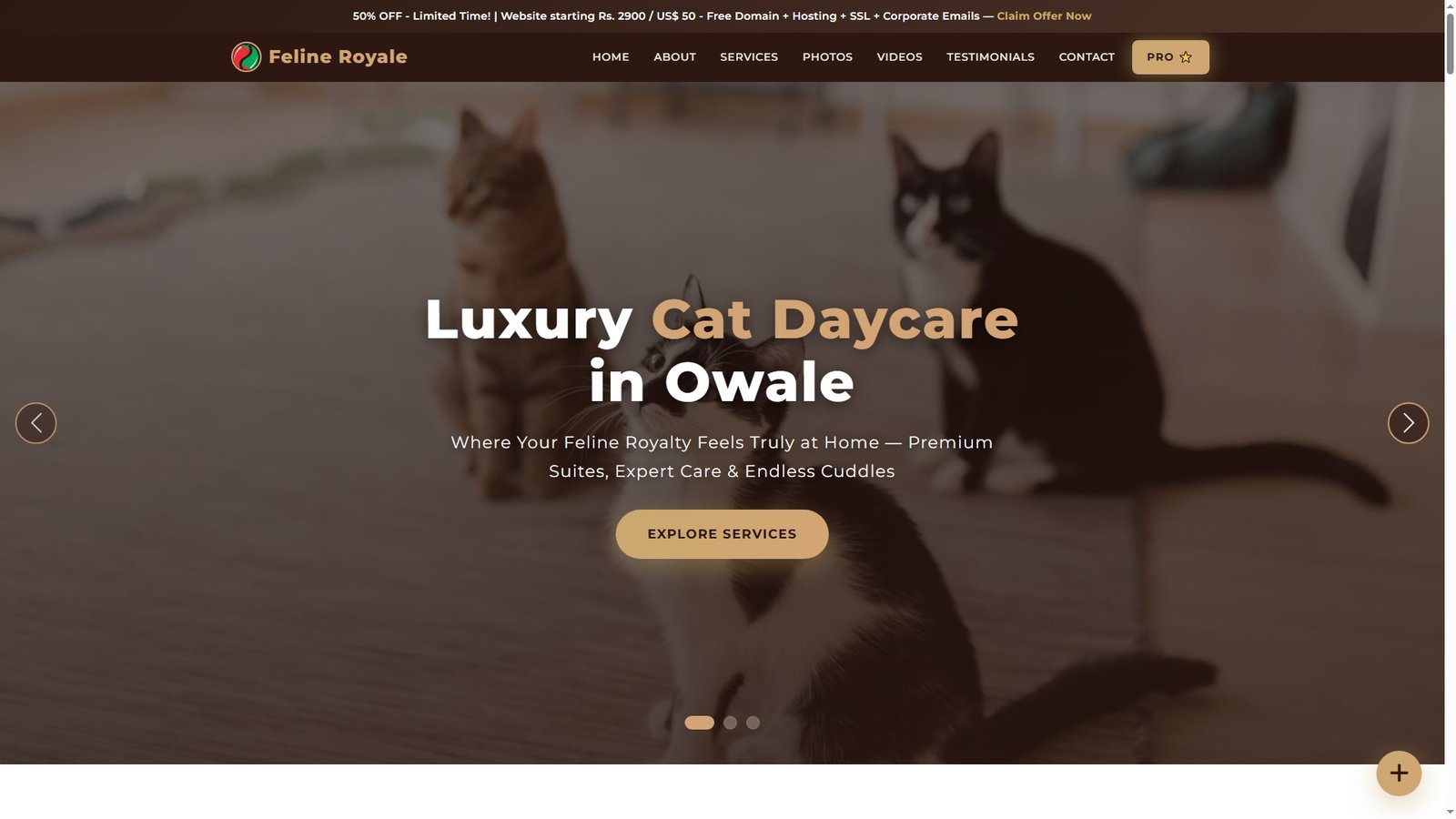 Cat Daycare Centers