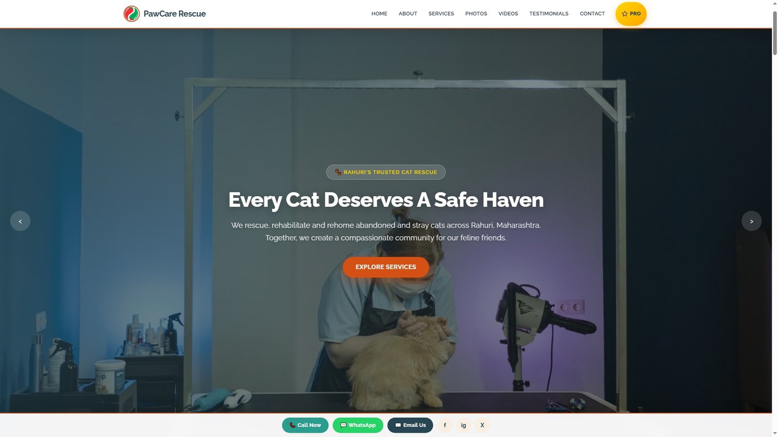 Cat Rescue Organizations
